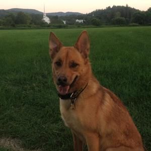 Meet your Posher, Ryan